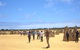 Pinnacles & Rottnest Island Scenic Air & Ground Tour - thumb 10