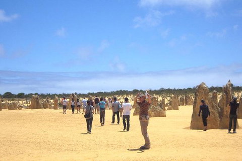 Pinnacles & Rottnest Island Scenic Air & Ground Tour - Accommodation QLD 10