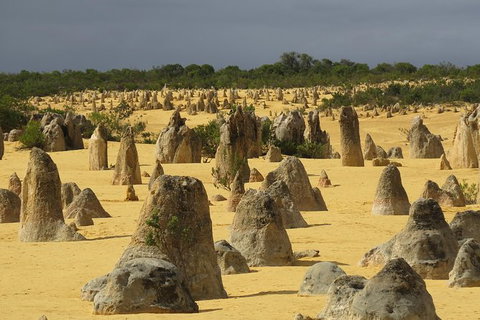 Pinnacles & Rottnest Island Scenic Air & Ground Tour - Accommodation QLD 6