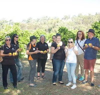 Chittering Valley Back To Nature Tour