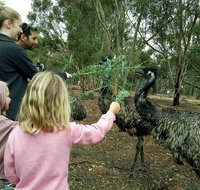 Full-Day Nature Tour from Perth