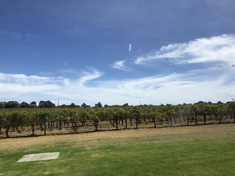 Swan Valley River Cruise And Wine Tasting Day Trip From Perth - Accommodation QLD 10