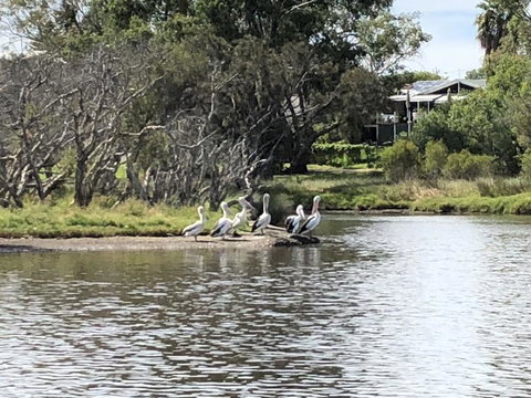Swan Valley River Cruise And Wine Tasting Day Trip From Perth - Accommodation QLD 3