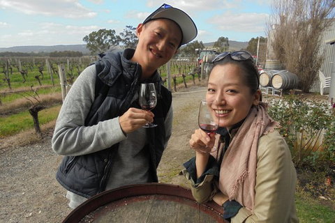 Swan Valley River Cruise And Wine Tasting Day Trip From Perth - Accommodation QLD 17