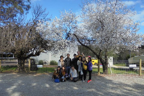 Swan Valley River Cruise And Wine Tasting Day Trip From Perth - Accommodation QLD 15