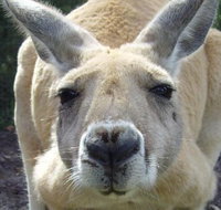 Discover Perth Full Day Tour