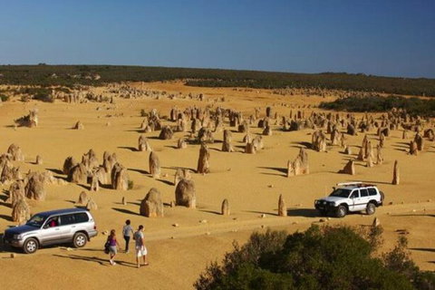 1-Day Pinnacles And Yanchep Tour From Perth Including Fish And Chips Lunch - Accommodation QLD 0
