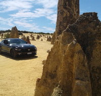 Pinnacles Mustang V8 Full Day including Swan Valley Caversham Wildlife Park