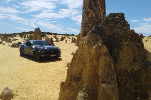 Pinnacles Mustang V8 Full Day Including Swan Valley, Caversham Wildlife Park - Accommodation QLD 0