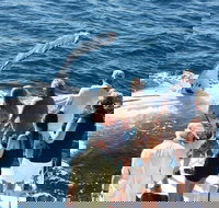 Half-Day Whale Watching Sunset Cruise from Broome - Accommodation QLD