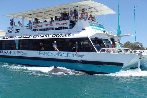 Mandurah Dolphin And Scenic Marine Cruise - Accommodation QLD 1