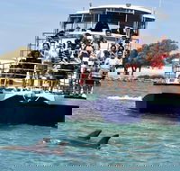 Mandurah Dolphin and Scenic Marine Cruise - Accommodation QLD