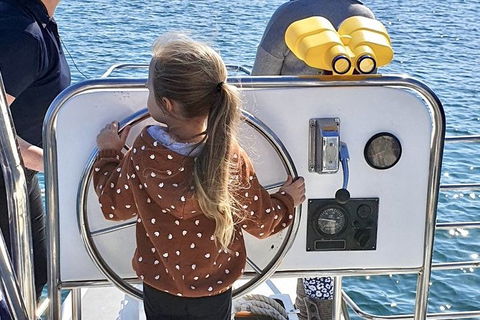 Mandurah Dolphin And Scenic Marine Cruise - Accommodation QLD 10