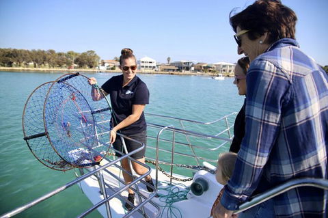 Mandurah Dolphin And Scenic Marine Cruise - Accommodation QLD 16