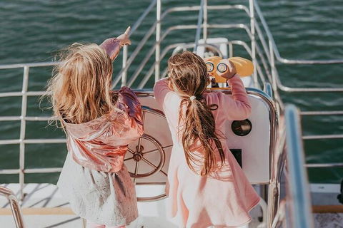 Mandurah Dolphin And Scenic Marine Cruise - Accommodation QLD 13