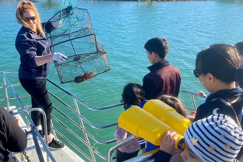 Mandurah Dolphin And Scenic Marine Cruise - Accommodation QLD 18