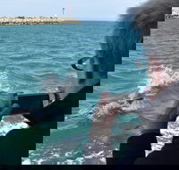 Mandurah Dolphin Island Adventure - Accommodation QLD