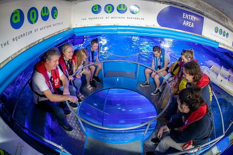Glass Bottom Boat Adventure And AQWA General Entry Ticket - Accommodation QLD 0