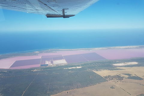 Abrolhos Islands Scenic Flight & Snorkel Adventure From Perth - Accommodation QLD 7