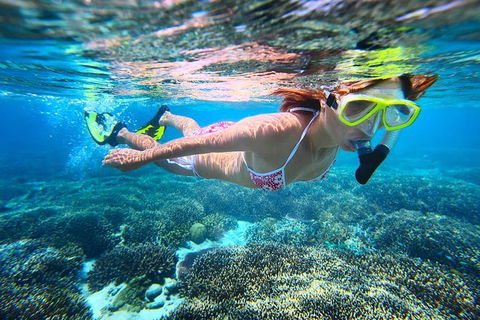 Abrolhos Islands Scenic Flight & Snorkel Adventure From Perth - Accommodation QLD 2