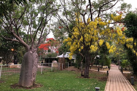 Mitchell Falls Tour - Mt Hart, Mitchell Falls, Horizontal Falls & Cape Leveque - Accommodation QLD 13