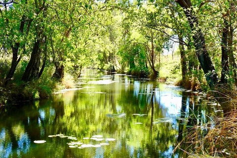 Mitchell Falls Tour - Mt Hart, Mitchell Falls, Horizontal Falls & Cape Leveque - Accommodation QLD 9