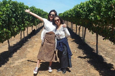 VIP Swan Valley Wine Tour - Premium Small Group Wine & Gourmet Experience - Accommodation QLD 3