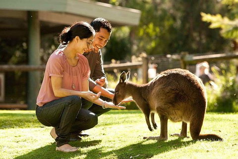 Very Best Of Perth Tour - Wildlife Park & City Highlights Tour - Accommodation QLD 0