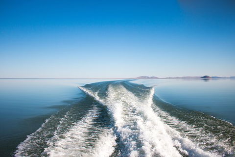 Lake Argyle Best Of Lake Argyle Cruise Departing Kununurra - Accommodation QLD 5