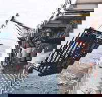 Rottnest Island Wild Seafood Package from Perth with Transfer - Accommodation QLD