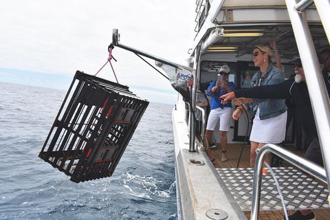 Rottnest Island Wild Seafood Package From Perth With Transfer - Accommodation QLD 0