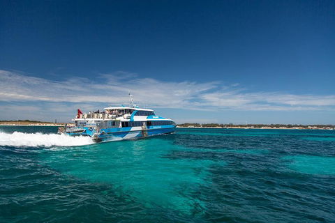 Rottnest Island Wild Seafood Package From Perth With Transfer - Accommodation QLD 1
