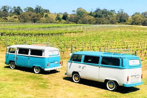 VW Kombi Wine Tour In The Swan Valley - Accommodation QLD 6
