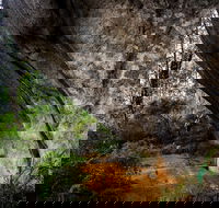 Porongurup Nature  History Eco Tour - Accommodation QLD