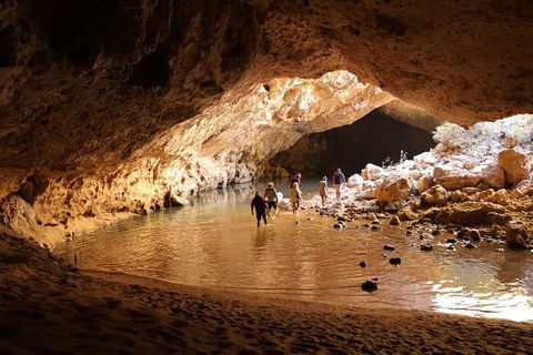 Devonian Reef Explorer - Accommodation QLD 1