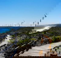 Torndirrup National Park and Bay Highlights - Accommodation QLD