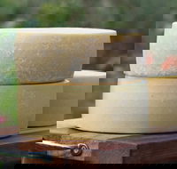 Porongurup Meet Your Maker Eco Tour - Accommodation QLD