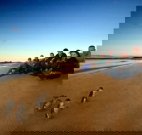 Phillip Island Ultimate Penguin Eco Tour or Skybox Experience - Accommodation QLD