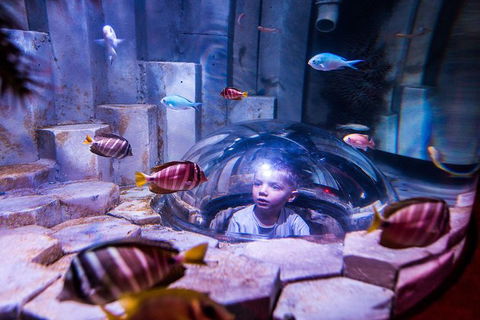 SEA LIFE Melbourne Aquarium Admission Ticket - Accommodation QLD 0