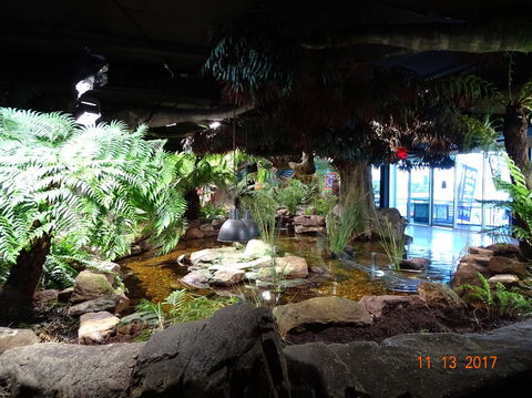 SEA LIFE Melbourne Aquarium Admission Ticket - Accommodation QLD 2