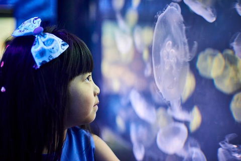 SEA LIFE Melbourne Aquarium Admission Ticket - Accommodation QLD 17