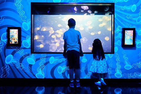 SEA LIFE Melbourne Aquarium Admission Ticket - Accommodation QLD 18