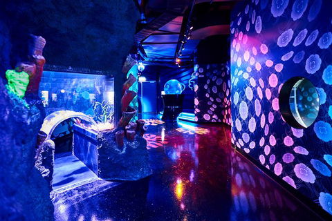 SEA LIFE Melbourne Aquarium Admission Ticket - Accommodation QLD 13