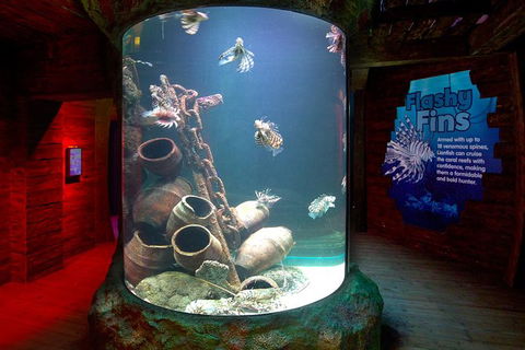 SEA LIFE Melbourne Aquarium Admission Ticket - Accommodation QLD 23
