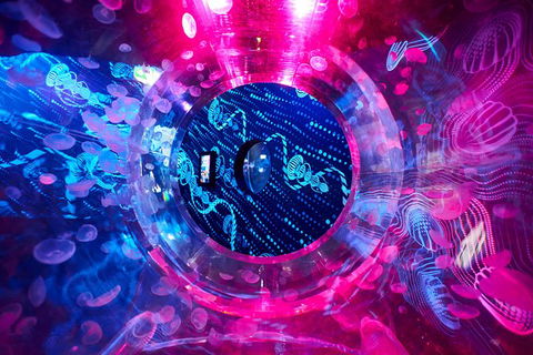 SEA LIFE Melbourne Aquarium Admission Ticket - Accommodation QLD 26