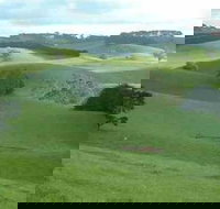 Day Tour of Phillip Island  Surrounding Region - Accommodation QLD