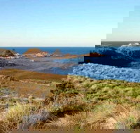 Phillip Island Walking  Bird Watching Tour - Accommodation QLD