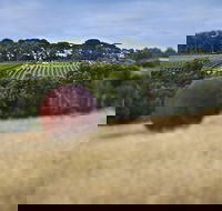 Estate to Plate Montalto Vineyard Gourmet Lunch and Wine-Tasting Tour - Accommodation QLD