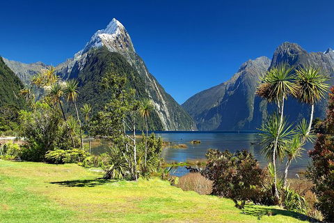 Aroha Tangata Australia And New Zealand 20 Day - Accommodation QLD 1