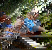 Phillip Island 3 Park Pass Penguin Parade Koala Conservation Centre and Penguin Parade Koala ConservationHeritage Farm - Accommodation QLD